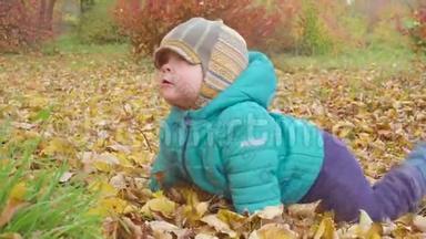 小男孩在秋天的树林里，爬行和沐浴在树叶里。 stealam